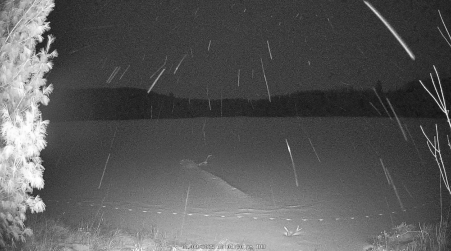 Image from 2025-01-09