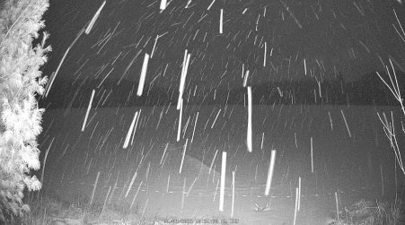 Image from 2025-01-09