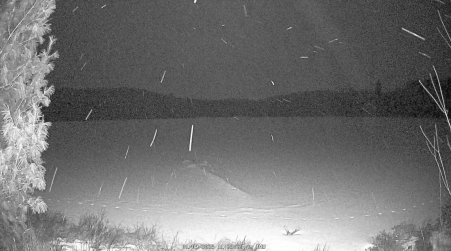 Image from 2025-01-09