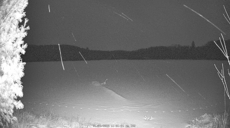 Image from 2025-01-09