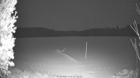 Image from 2025-01-10