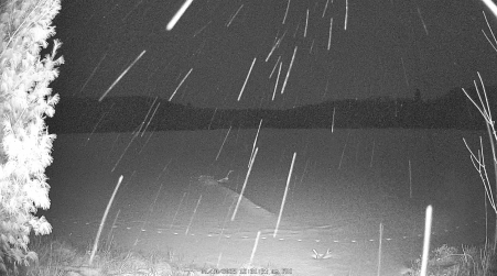 Image from 2025-01-10