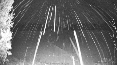 Image from 2025-01-10