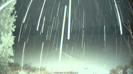 Image from 2025-01-10