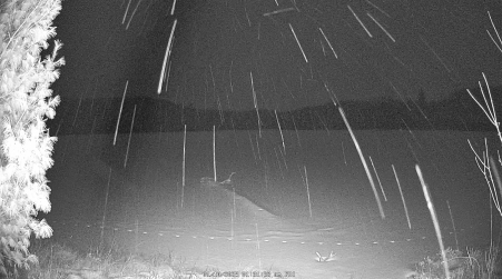 Image from 2025-01-10