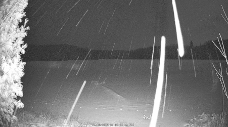 Image from 2025-01-10