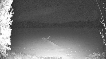 Image from 2025-01-10