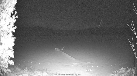 Image from 2025-01-10
