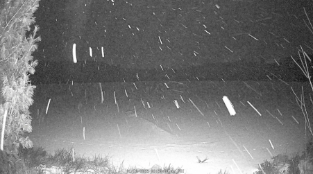 Image from 2025-01-10