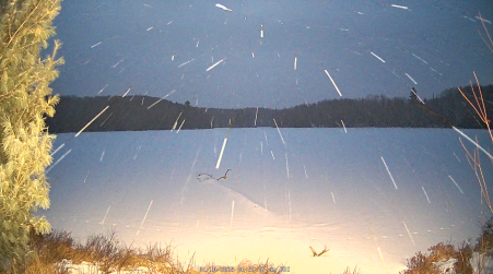 Image from 2025-01-10