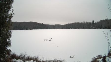 Image from 2025-01-10
