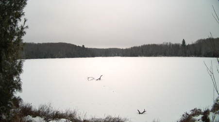 Image from 2025-01-10