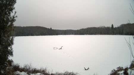 Image from 2025-01-10