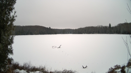 Image from 2025-01-10