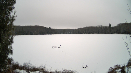 Image from 2025-01-10