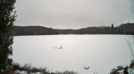Image from 2025-01-10