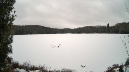Image from 2025-01-10