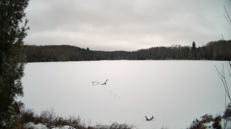 Image from 2025-01-10
