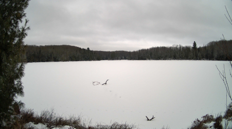 Image from 2025-01-10