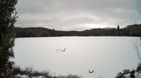 Image from 2025-01-10
