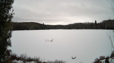 Image from 2025-01-10