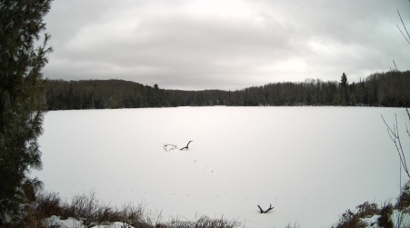 Image from 2025-01-10