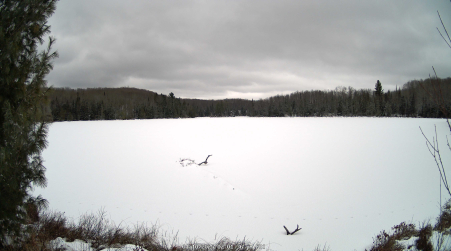 Image from 2025-01-10