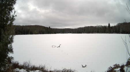 Image from 2025-01-10