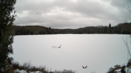 Image from 2025-01-10