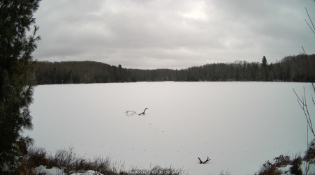 Image from 2025-01-10
