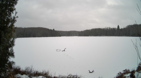 Image from 2025-01-10