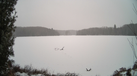 Image from 2025-01-10