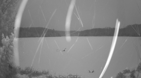 Image from 2025-01-10