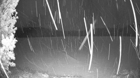 Image from 2025-01-10