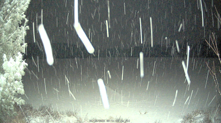 Image from 2025-01-10