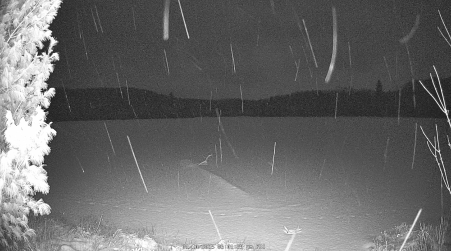 Image from 2025-01-10