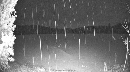 Image from 2025-01-10