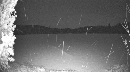 Image from 2025-01-10