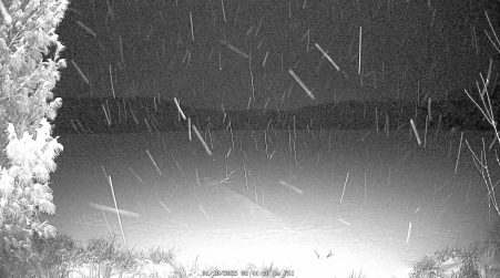 Image from 2025-01-10