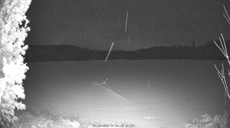 Image from 2025-01-10