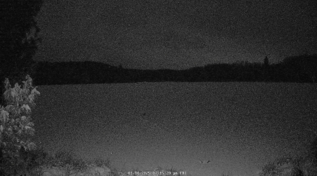 Image from 2025-01-10