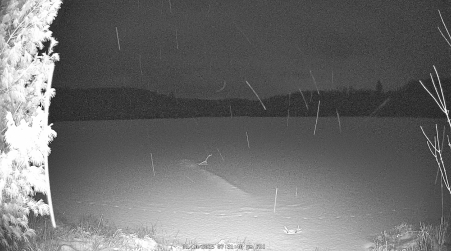 Image from 2025-01-10