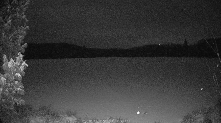 Image from 2025-01-10