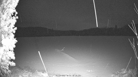 Image from 2025-01-10