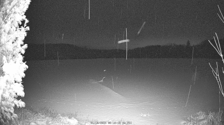 Image from 2025-01-10