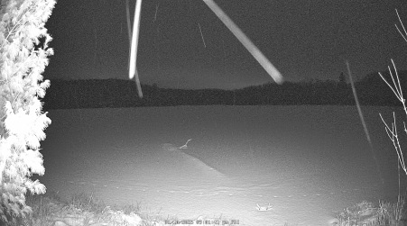 Image from 2025-01-10