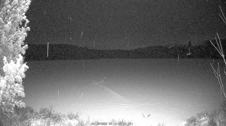 Image from 2025-01-10
