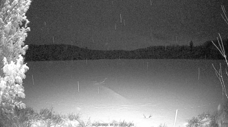 Image from 2025-01-10