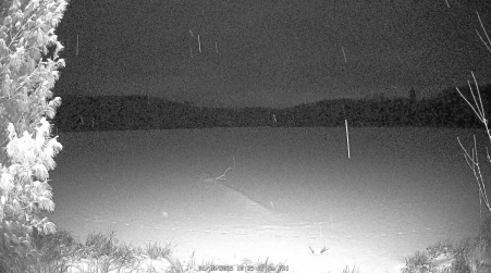 Image from 2025-01-10