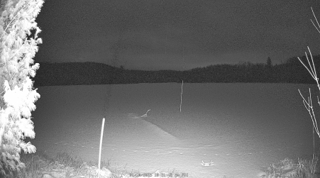 Image from 2025-01-10